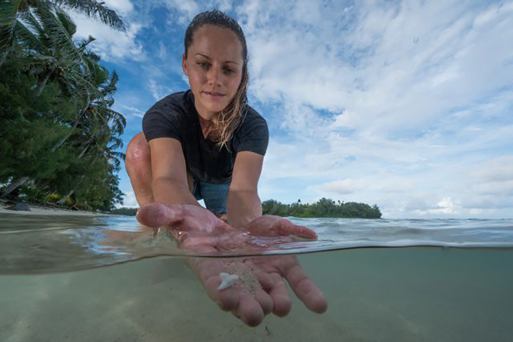 Jess Cramp, Shark Conservationist